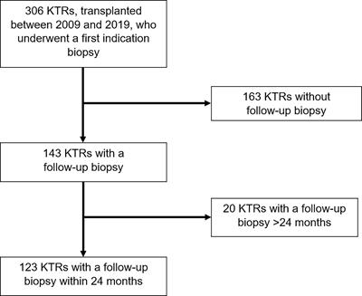 PIRCHE-II scores prove useful as a predictive biomarker among kidney transplant recipients with rejection: An analysis of indication and follow-up biopsies